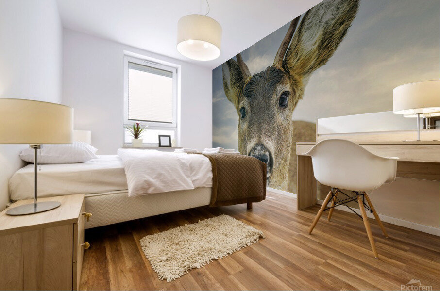 Feed me   Mural print