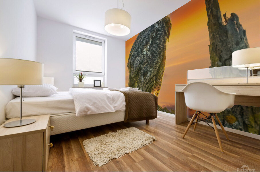 Owl standing watch Mural print