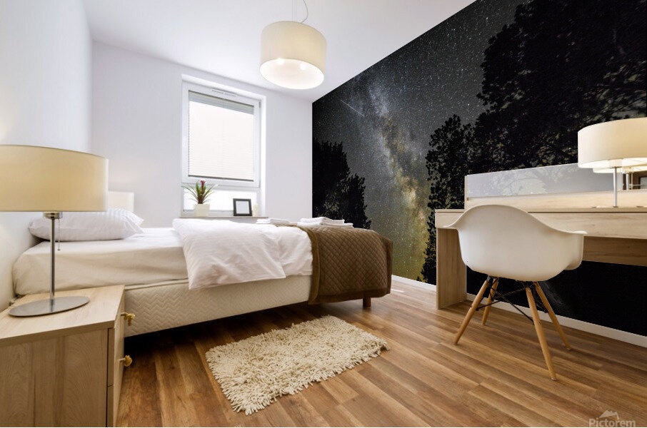 Speeding trails of the Milky Way Mural print