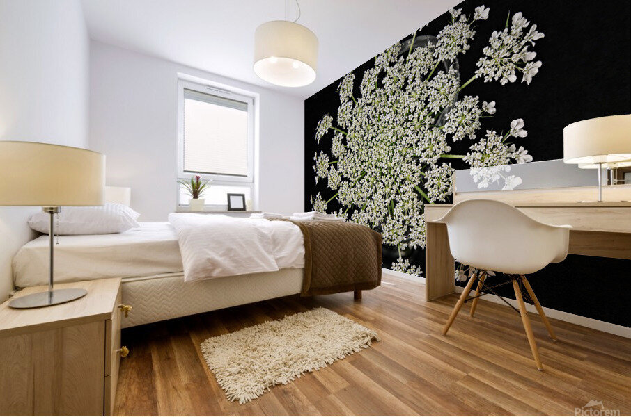 Wild Carrot Wildflower Mural print