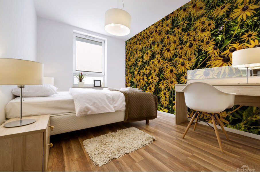 Black-eyed Susans Mural print