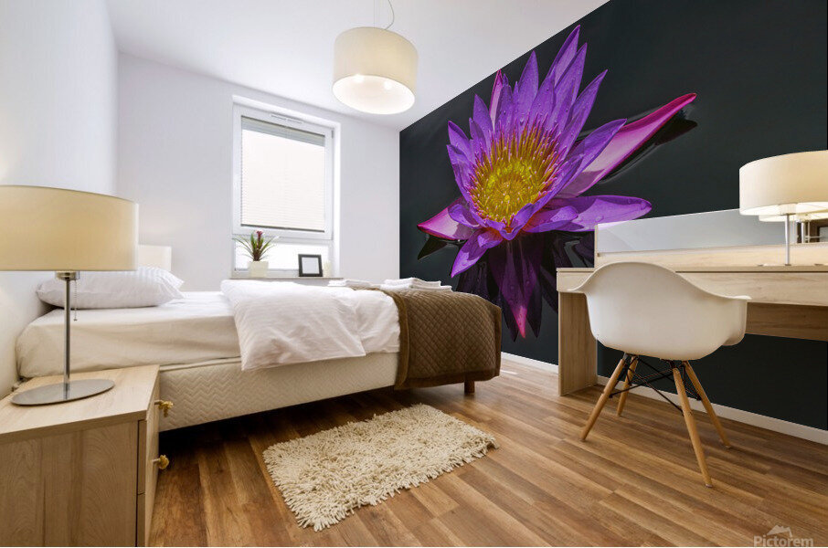 Purple pond Lilly Mural print