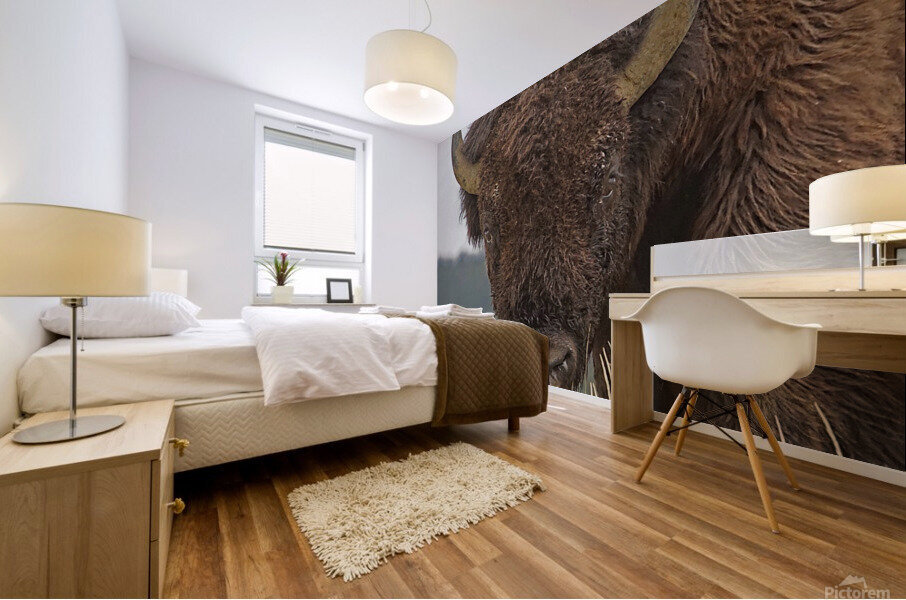 Bull bison Mural print