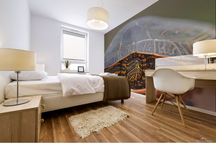 PaintedTurtle Mural print