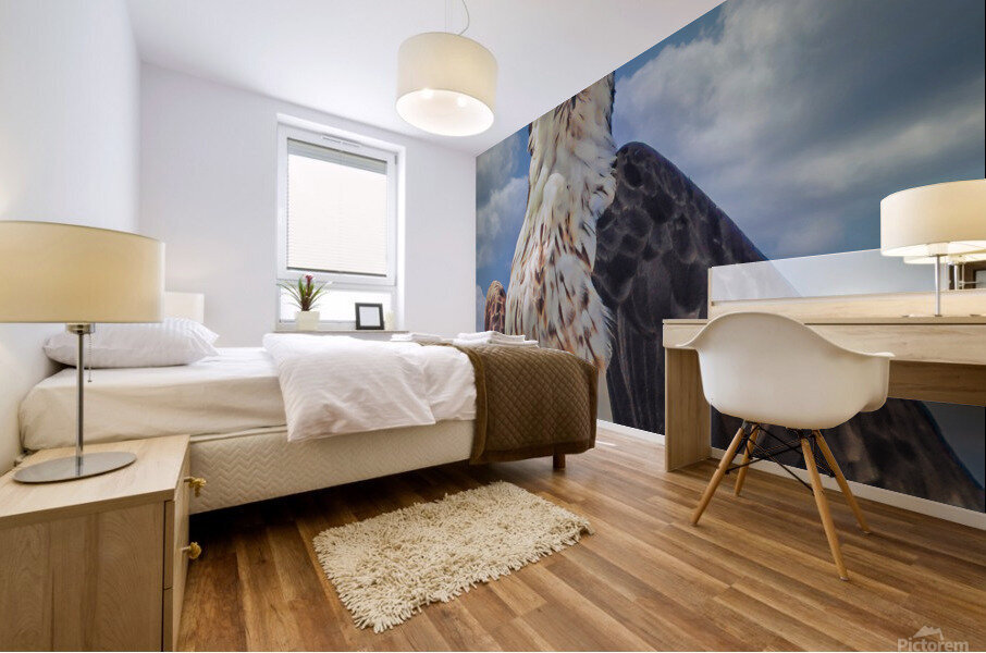 Osprey posing Mural print