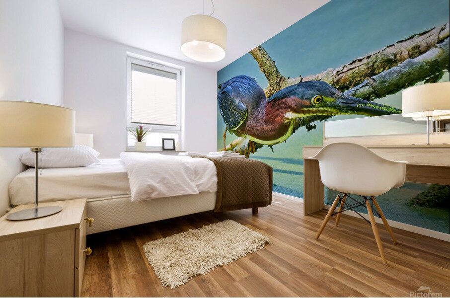  Green Heron Mural print