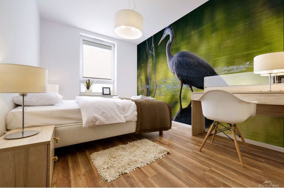 Blue Heron fishing Mural print