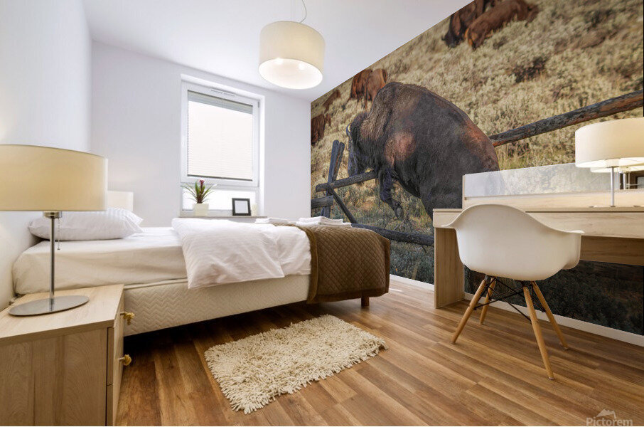 Bison leaping Mural print