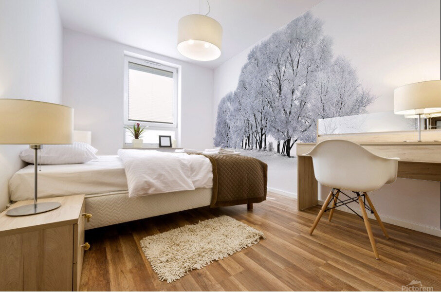 Hoarfrost in Minnesota Mural print