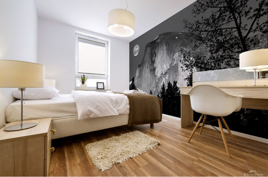  Half Dome Moon Mural print