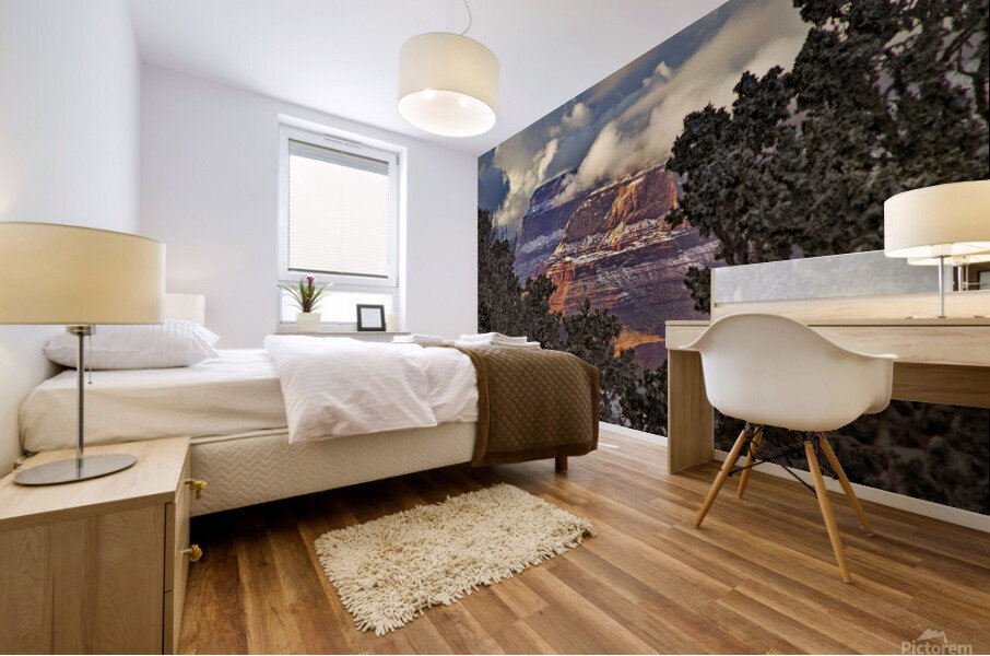  Grand Canyon Mural print