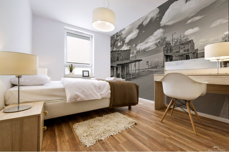 Scenic South Dakota Mural print