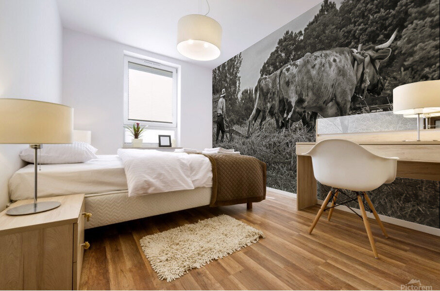 Farming with Oxen  Mural print