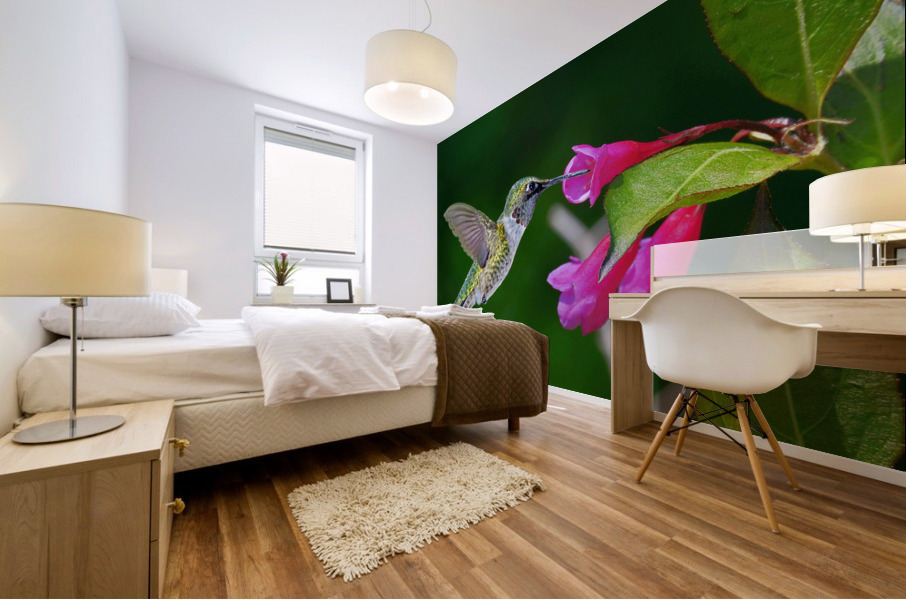 Hummer on flower Mural print