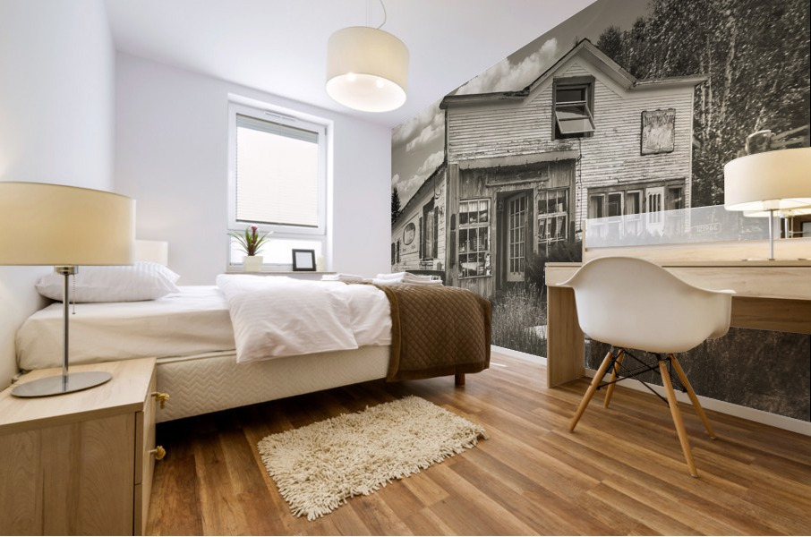  Blueberry Maple WI antique store Mural print