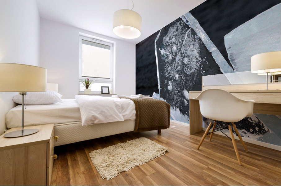  Plate Ice Superior Mural print