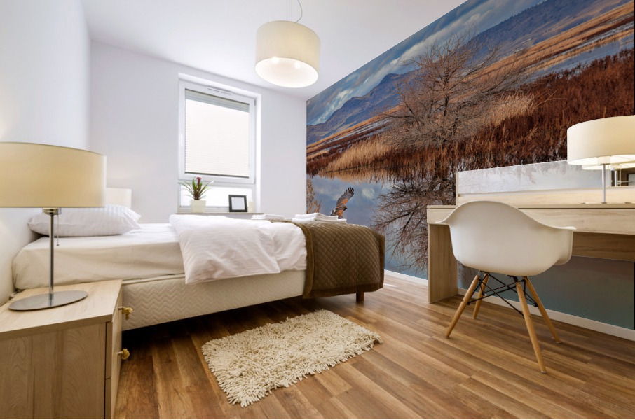  Klamath Refuge Hawk Mural print