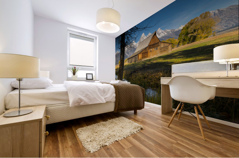 Abandoned Mormon Row Mural print