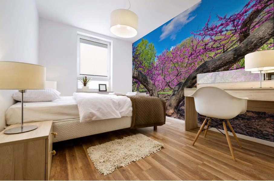 Eastern Redbud Mural print
