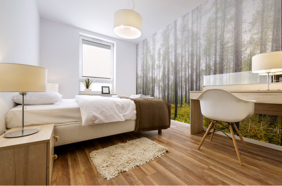 Morning mist near Lutsen Mural print