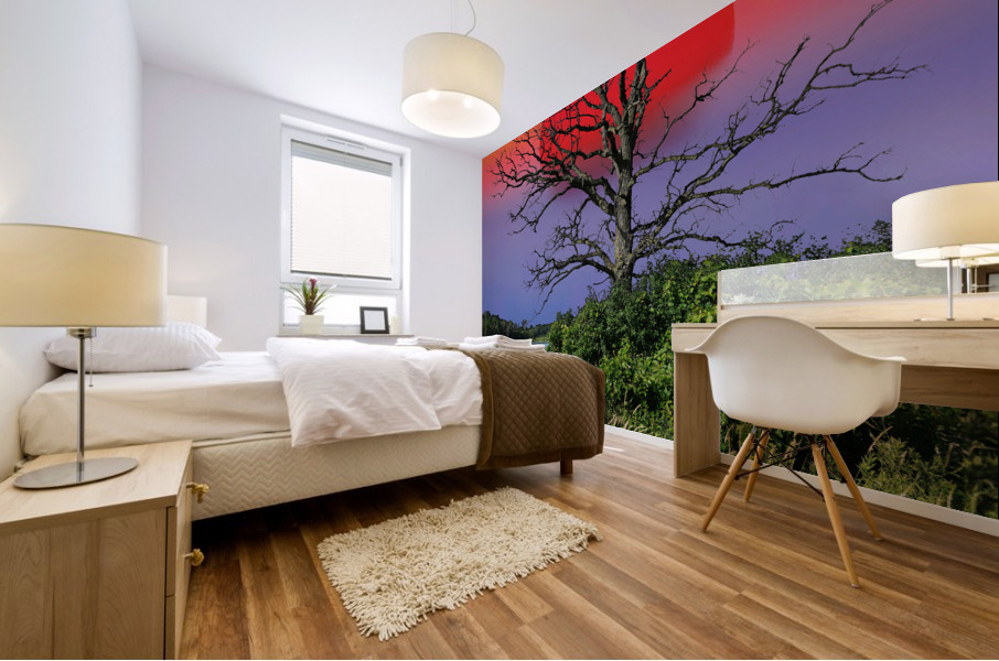 Sun is up  Mural print