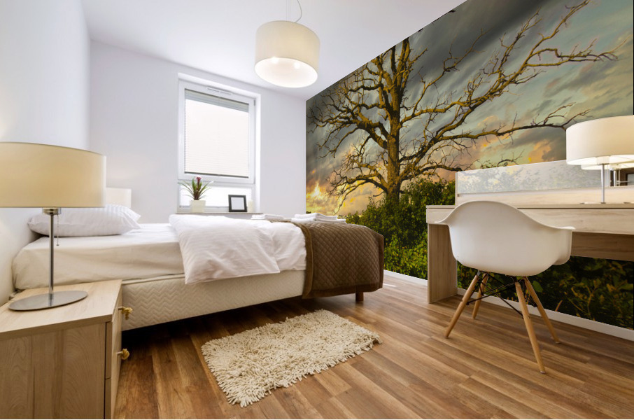 The eagle has landed Mural print