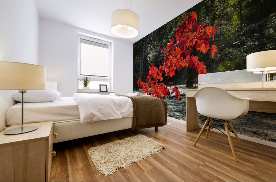   Fall Color in Lutsen Mural print