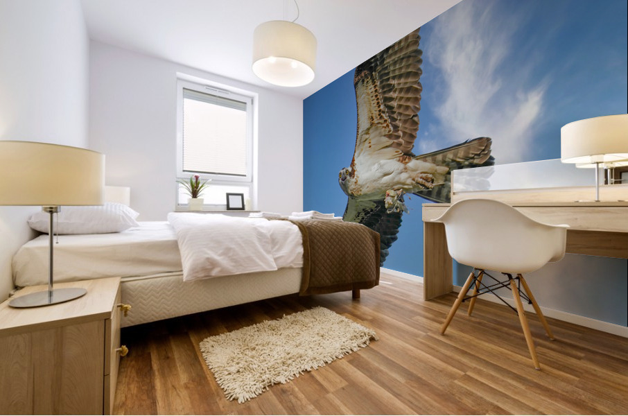 Big wing osprey Mural print