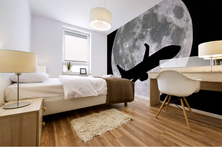 Planet moon Mural print