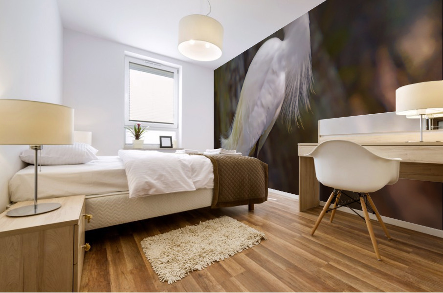 Great egret in Everglades Mural print