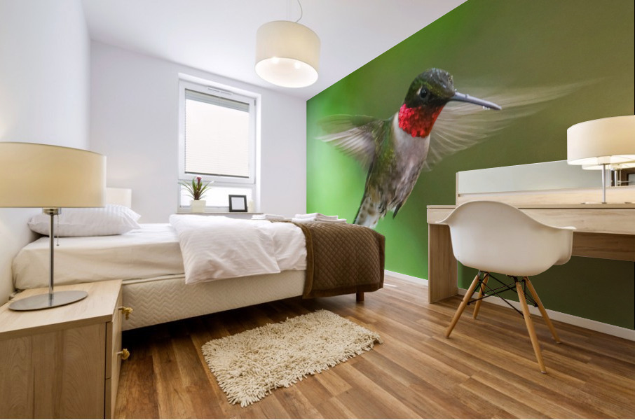 Male Ruby Hummer Mural print