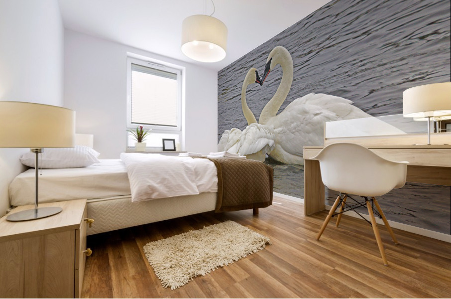Trumpeter Swans Mural print