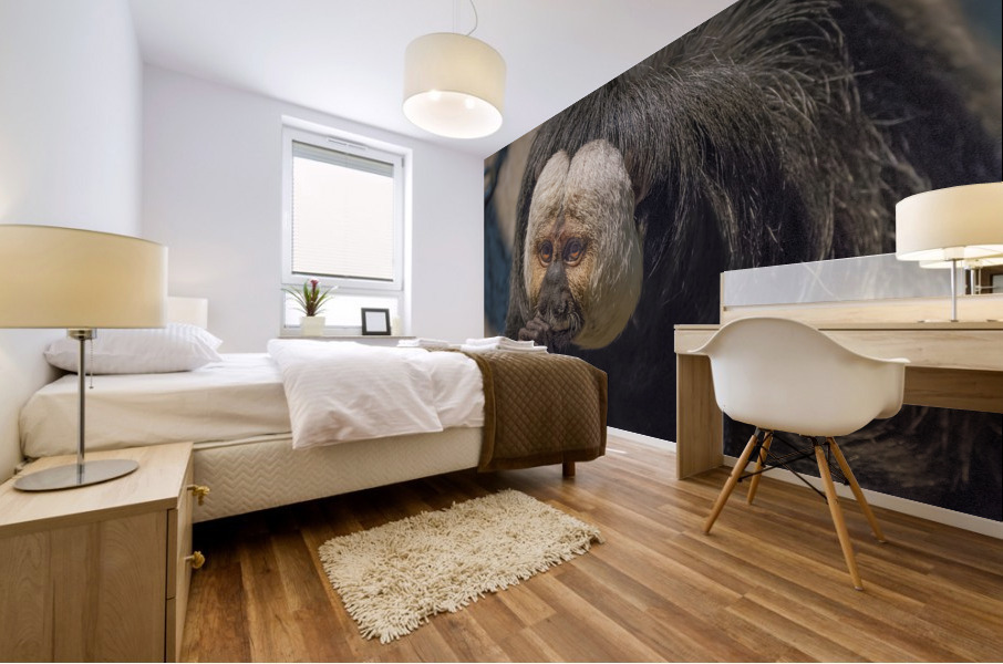 Speak no evil  Mural print