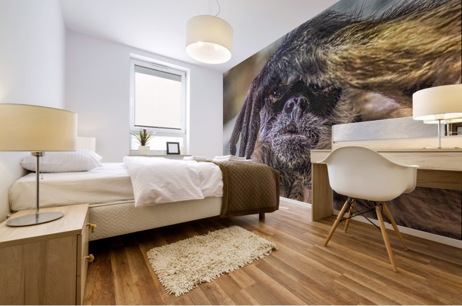 See no Evil   Mural print