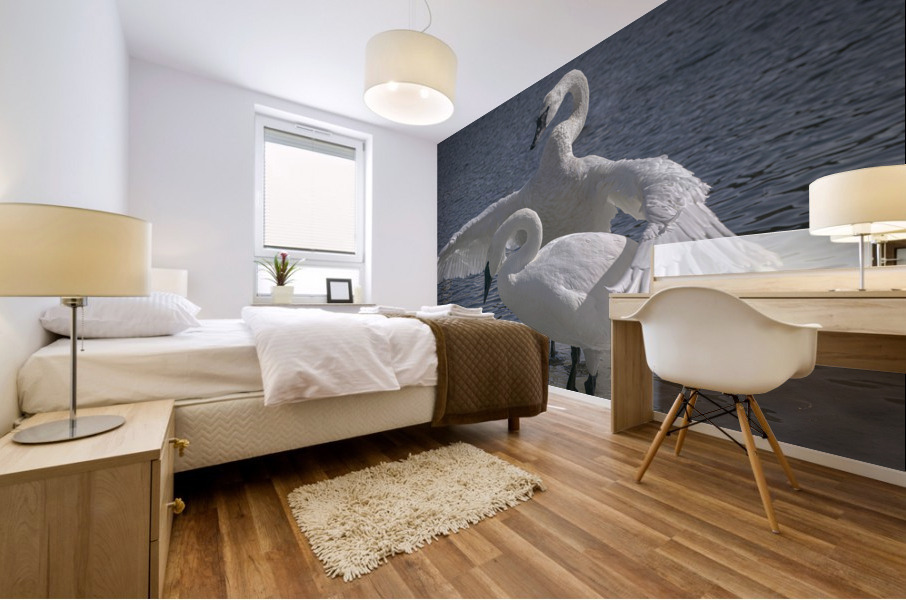 Comforting swan Mural print