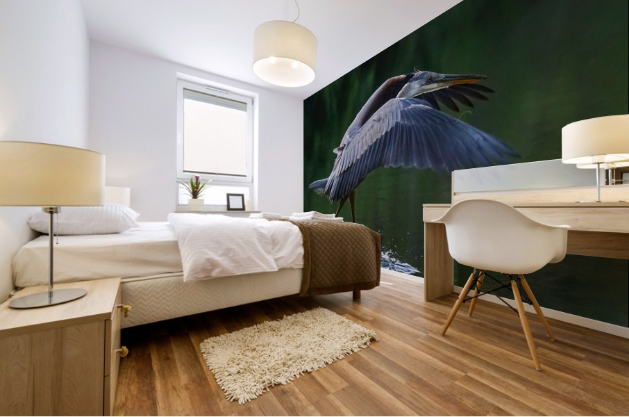 Blue heron landing Mural print