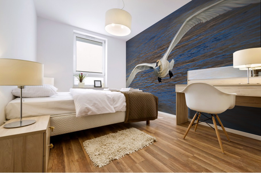 Wide wings of swan Mural print