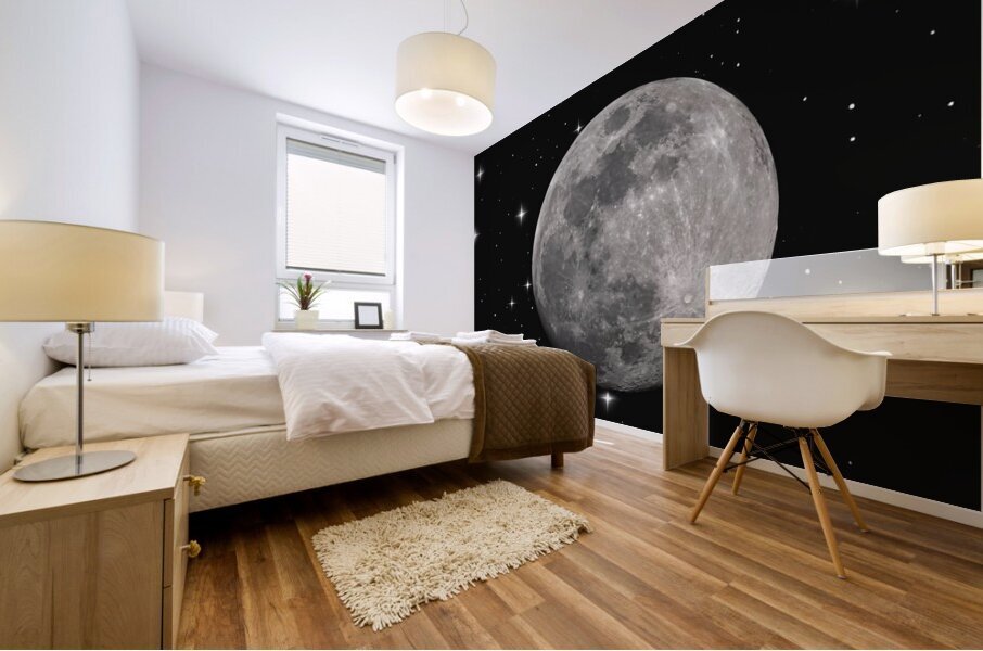 Full Moon Mural print