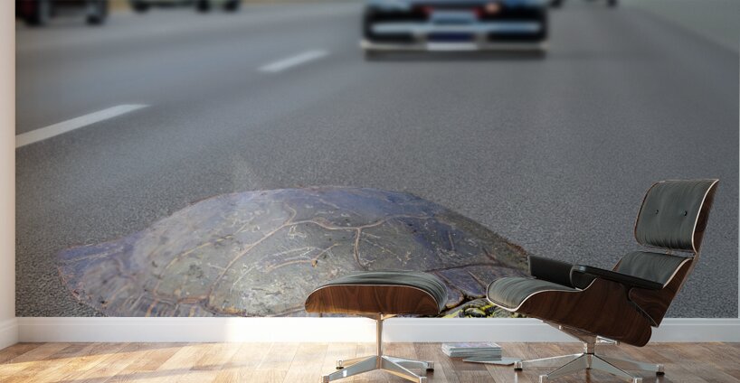 Tense Turtle  Wall Murals