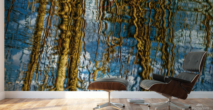 Reflections in a Forest Wall Murals