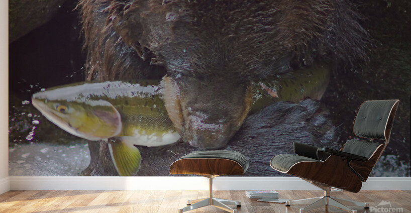 Bear greets Fish Wall Murals