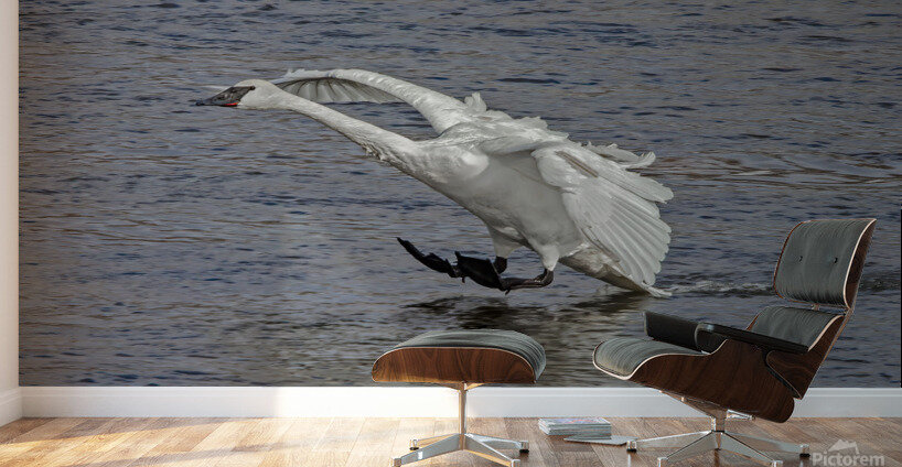 Three point landing   Wall Murals