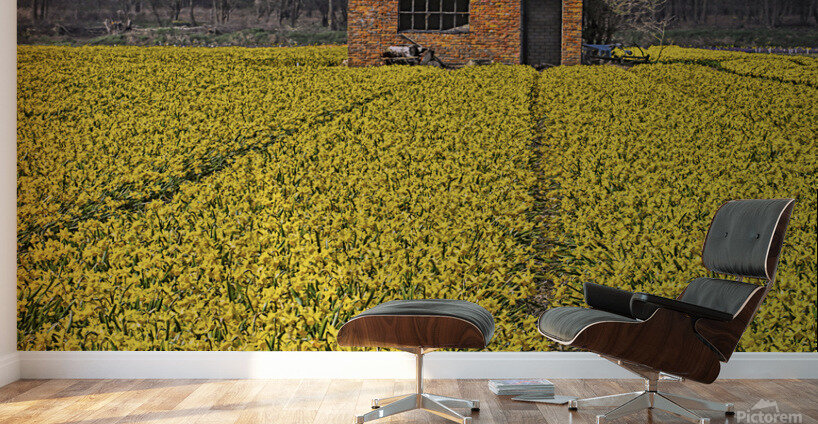 Flourishing fields of flowers Holland Wall Murals
