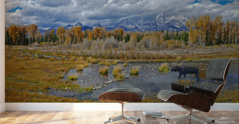 The Snake River near the Tetons Wall Murals
