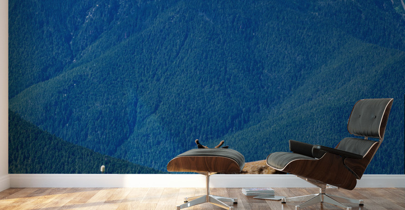 Olympic mountain range Wall Murals