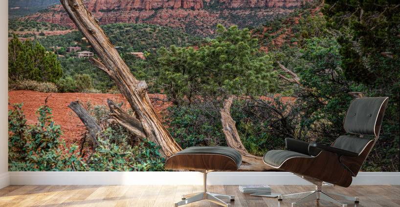 Scenic Sedona Wall Murals
