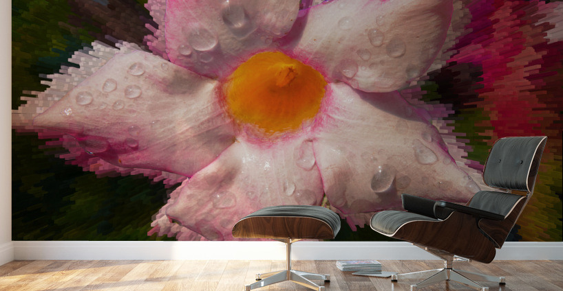  Mandevilla flower Wall Murals