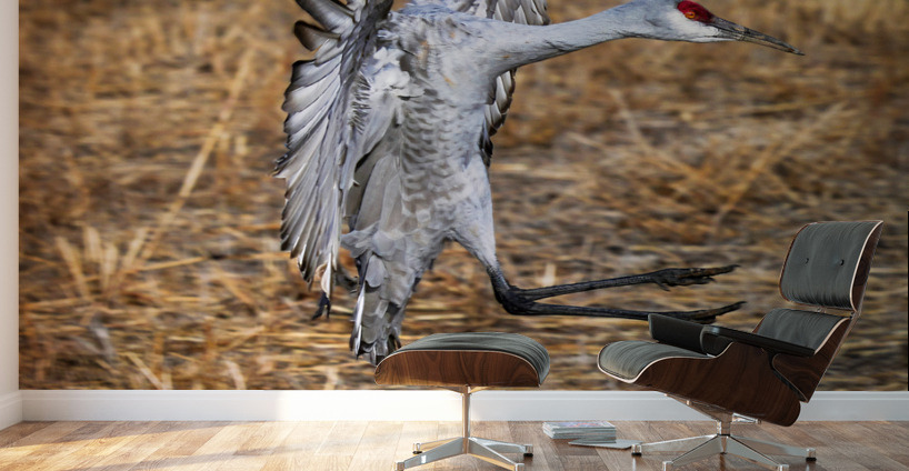 Quick stop  Wall Murals