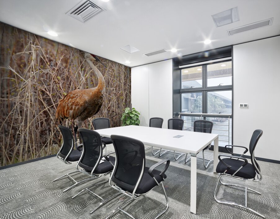 Sandhill Foraging Wall Printing