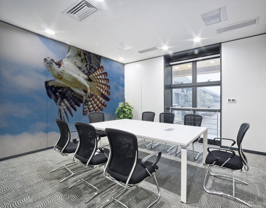 Osprey on the hunt Wall Printing